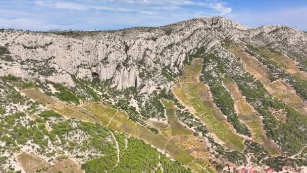 Teraslı Üzüm Bağlarıyla Süslenmiş Kireçtaşı Dağ Yamacının Panoramik Drone Görüntüsü — Stok video