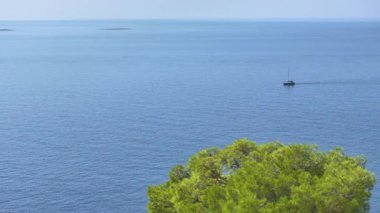 Yalnız bir yelkenli, gür Akdeniz bitkileriyle dolu bir kıyı şeridinin yanındaki derin mavi denizden geçiyor. Hvar adası yakınlarında yelkenli teknesinin görüntüsü..