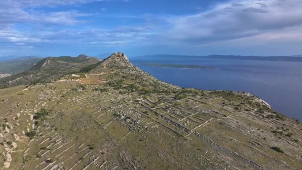 Aerial Panoramiczny Widok Drona Tradycyjnych Pól Tarasowych Wyspie Hvar Góry — Wideo stockowe
