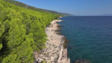 Adriyatik 'in turkuaz sularına bakan gür bitki örtüsü ile Hvar' ın engebeli kıyılarının manzarası. Hvar adasının kayalık kıyı şeridi boyunca uçarken çam ormanı neredeyse denize ulaşıyor..