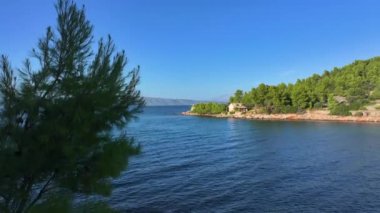 Adriyatik Denizi kıyısında terk edilmiş bir ev ve şapel. Hvar 'daki uzak bir sahilde çürüyen iki binayı çevreleyen yemyeşil Akdeniz bitkisinin insansız hava aracı görüntüleri..