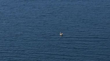 Tek bir küçük tekne ve yalnız bir yolcu engin mavi okyanusta yüzer, deniz boşluğunun enginliğinin ve yalnızlığının altını çizer. Tekne yavaşça küçük barışçıl dalgaların üzerinde sallanıyor..