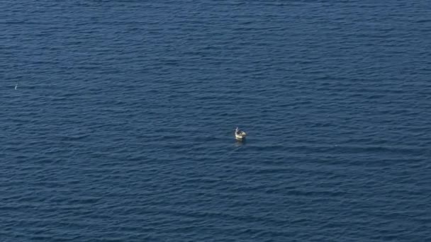 Aerial Ein Einzelnes Kleines Boot Mit Einem Einsamen Insassen Schwimmt — Stockvideo