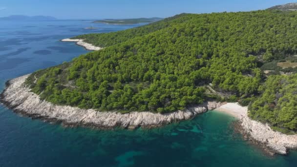 Aerial Circling Rocky Hvar Coastline Covered Bright Pine Forest Small — Stock Video