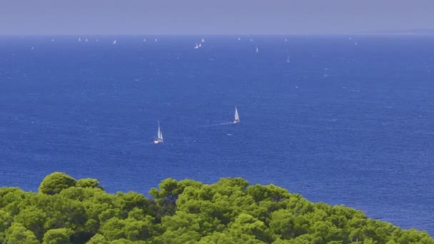 Aerial Scenic Drone Shot Sailboats Sailing Picturesque Hvar Island Sailboat — Stock Video