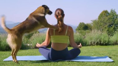 Kadın, bahçede meditasyon yaparken ve dinlenirken neşeli köpeği tarafından şaşırtılıyor. Yere seriliyor ve köpeği zıplıyor ve onu yalıyor. Bir evcil hayvan sahibi ve enerjik bir köpek arkadaşıyla komik bir an..