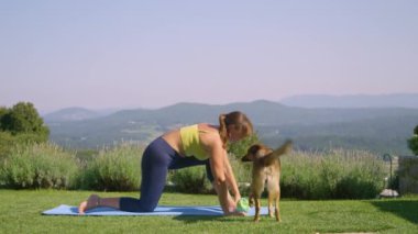 Sarı bluzlu kadın yoga yapmakta zorlanıyor çünkü köpeği dikkatini dağıtıyor. Tatlı köpek bir kadını egzersiz yapmaya çalışırken güldürür. Bir evcil hayvan sahibi ve sevimli köpeğiyle komik bir an..