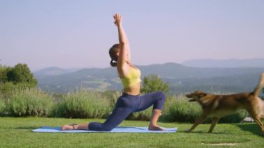 Kadın, neşeli ve heyecanlı köpeği üzerine atladığında bahçede yoga yapıyor. Hanım dinlenmeye ve egzersizle vücudunu güçlendirmeye çalışırken aptal ve yaramaz köpeği sadece oynamak istiyor..