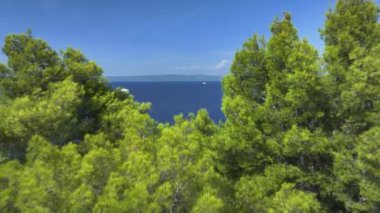 Korcula 'nın kokulu çam ağaçlarının üzerinden uçmak Adriyatik' in engin denizini gözler önüne seriyor. Bereketli Akdeniz kıyı şeridinin ve açık mavi Adriyatik Denizi 'nin güneşli bir yaz gününde manzarası..