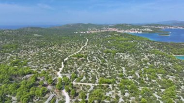 Boş asfalt yolu engebeli Akdeniz manzarasını geçiyor ve Dalmaçya sahilindeki sahil kasabasına doğru gidiyor. Manzaralı Murter Adası 'nı kaplayan yemyeşil bitki örtüsünün insansız hava aracı görüntüsü.