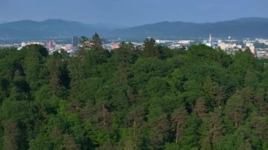 LJUBLJANA, SLOVENIA - 3 Mart 2024: AERIAL: Gelişmekte olan Ljubljana yerleşim bölgelerinin insansız hava aracı bakış açısı. Koyu yeşil ormanın üzerinde uçmak, Ljubljana şehrinin gelişimini gözler önüne seriyor..