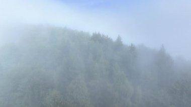 Yoğun sis ormanlık tepeleri kaplayarak gizemli ve sakin bir atmosfer yaratır. Bereketli orman yeşilliği, sonbahar manzarasının ruhani güzelliğini artıran sis tarafından kısmen gizleniyor..