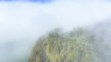 Renkli sonbahar ormanı ağaçları sabah sisinin içinden kırılıyor. Yaprakları sonbaharın gölgesine dönüşen yoğun yeşillik ve yumuşak bulut örtüsü huzurlu ve resimsel bir manzara yaratır.