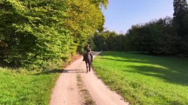 At binicisi ve köpeği, bereketli yeşilliklerle çevrili ve ılık güneş ışığıyla yıkanmış dolambaçlı kırsal bir patika boyunca huzurlu bir yolculuğun tadını çıkarıyorlar. Genç bayan, sonbahar doğasında rahatlatıcı bir gün geçiriyor..