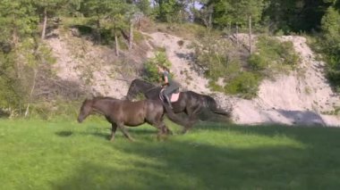 Leydi, koyu kahverengi bir aygır üzerinde yeşil bir çayırda dört nala koşuyor, yanında bir köpek ve bir kısrakla. Genç bir kadın güzel güneşli bir sonbahar gününün tadını çıkarıyor. Doğada sevgili hayvanlarıyla birlikte..