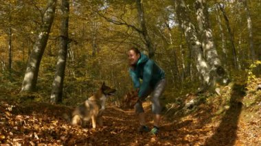 Gülümseyen kadın, güzel bir sonbahar gününde gökyüzüne altın sonbahar yaprakları saçan sadık melez köpeğiyle neşeli bir anı paylaşıyor. Düşen yapraklarla kaplı orman yolunda yürümekten hoşlanırlar..
