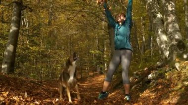 Altın bir sonbahar ormanının kalbinde mutlu bir kadın neşeli köpeğiyle sonbaharı kutlar. Güneşli bir sonbahar gününde yürüyüşleri sırasında zıplarlar ve yaprakları havaya fırlatırlar..
