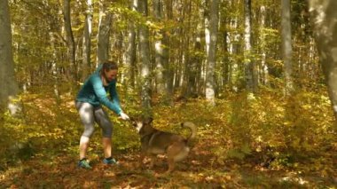 Ceketli bir kadın renkli bir ormanda güneşli bir sonbahar gününün tadını çıkarırken bir sopayla köpeğiyle oyun oynar. Gülümseyen bayan ve evcil hayvanı canlı yeşilliklerin kucaklamasında eğleniyorlar..