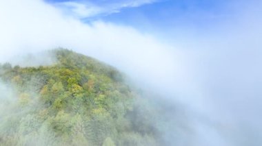 Sabah sisi ile kaplanmış Slovenya 'nın cennet gibi kırsal kesimlerinde yemyeşil ormanların üzerinde uçmak. Ekim ayı başında sisle kaplanmış ağaçların yapraklarını değiştiren hava aracı manzarası.