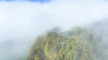 Sabah sisi ile kaplanmış Slovenya 'nın cennet gibi kırsal kesimlerinde yemyeşil ormanların üzerinde uçmak. Ekim ayı başında sisle kaplanmış ağaçların yapraklarını değiştiren hava aracı manzarası.