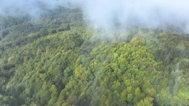 Sonbaharın sisli bir gününde renkli ormanın üzerinde manzarayla kaplı bir şekilde uçmak. Yoğun bir ormanın, sonbaharda sisli bir Ekim gününde yapraklarını değiştirmesine yönelik sinematik drone bakış açısı.