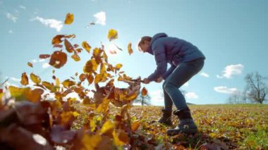Yavaş hareket, yaklaşma, düşük açı, ışık, neşeli kadın ve köpek, sıcak sonbahar güneşinde dışarıda çubukla oynuyorlar. Genç bir kadın, enerjik köpeğiyle Ekim 'in mükemmel bir sonbahar gününde oynar..