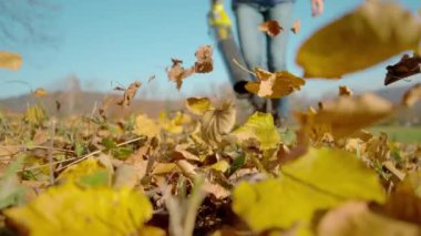 Düşük hareket, yakın çekim, düşük açı: tanınmayan kadın bahçıvan kuru yaprakları çimlerden temizlemek için bir yaprak üfleyici kullanır. Kadın, arka bahçesini güz yapraklarıyla temizlemek için yaprak üfleyicisi kullanıyor..