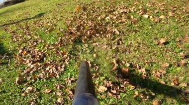 Büyük bir yaprak üfleyicisiyle yaprakları dönerek otlağı temizliyorum. Güneşli bir sonbahar gününde çimenlik araziyi ilk gören kişi. Renkli sonbahar kırsalında peyzaj..