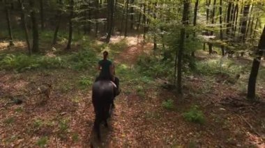 Ormanda at süren genç bir kadın, hayvan arkadaşlarıyla günün tadını çıkarıyor. Dişi at binicisi sıcak bir yaz öğleden sonra atlarını ve köpeğini serin bir ormana götürür..