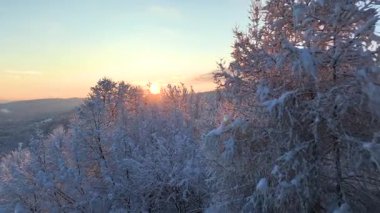 Taze karla kaplı cennet gibi kırsal arazide muhteşem kış akşamları güneş ışınları parıldıyor. Nefes kesen altın gündoğumunda, cennet gibi karlı kırların manzarası..