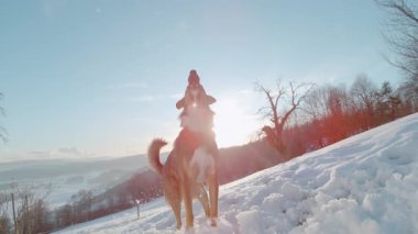 Yaklaş, LENS FlaRE: bir köpek soğuk havaya atlamak, mükemmel bir zamanlamayla bir kartopu yakalamak. Güneşli karlı tepeler ve serin hava bu neşeli kış günü için ortam hazırladı..