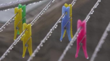 Wet clothespins in the rain