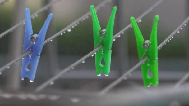 Wet Clothespins Rain — Wideo stockowe