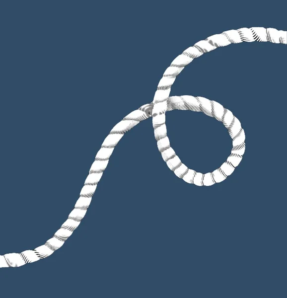 绳子刻字 现实的绳子图例 黑白画 高质量的例证 — 图库照片