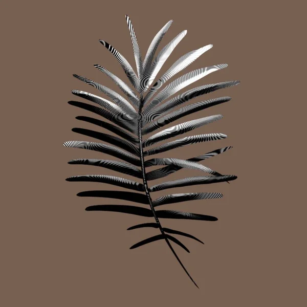 Graficzny Liść Palmowy Tusz Liści Tropikalnych Graficzny Liść Tropikalny Wysokiej — Zdjęcie stockowe