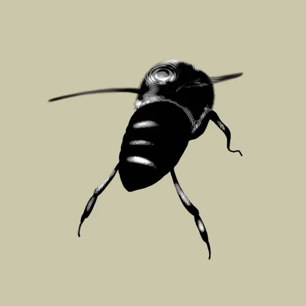 Grafische Biene Realistische Tinte Honigbiene Hochwertige Illustration — Stockfoto