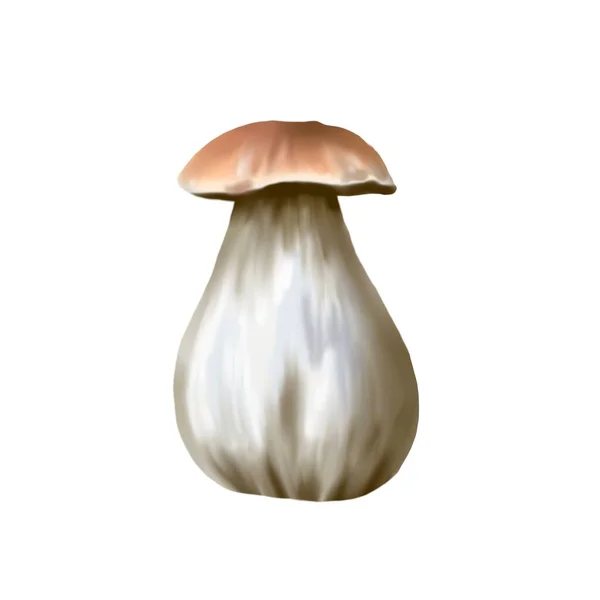 Fungo Bianco Acquerello Fungo Commestibile Realistico Illustrazione Botanica Illustrazione Alta — Foto Stock
