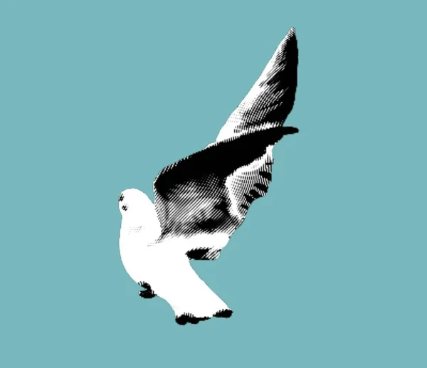 Incisione Gabbiano Marino Illustrazione Realistica Uccello Marino Illustrazione Alta Qualità — Foto Stock