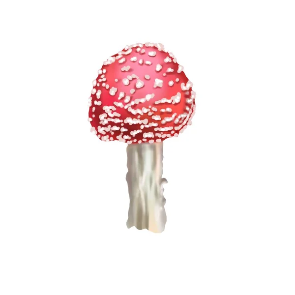 Aguarela Mosca Vermelha Agaric Cogumelo Agárico Mosca Realista Cogumelo Venenoso — Fotografia de Stock