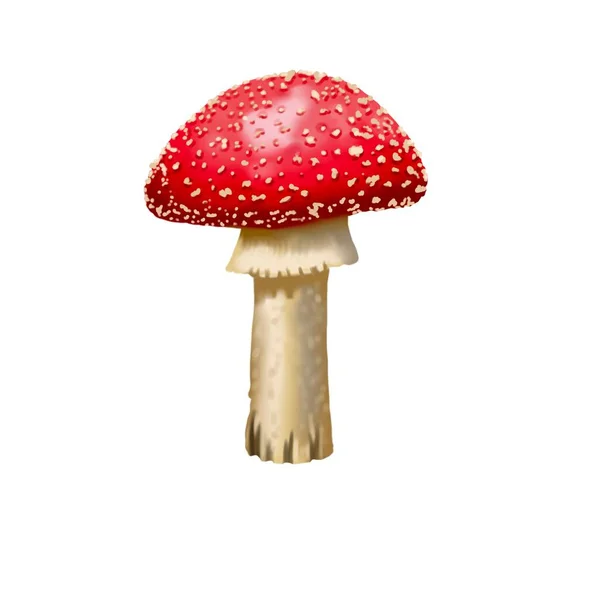 水彩缤纷的红色苍蝇 现实的苍蝇不可知论的蘑菇 有毒的蘑菇 高质量的例证 — 图库照片