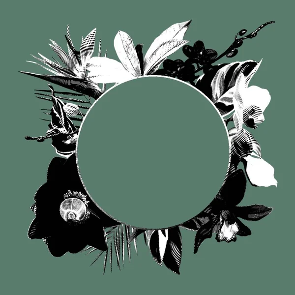 Graphic Parlak Tropikal Çerçeve Tropikal Çiçeklerin Gerçekçi Bir Gösterimi Strelitzia — Stok fotoğraf