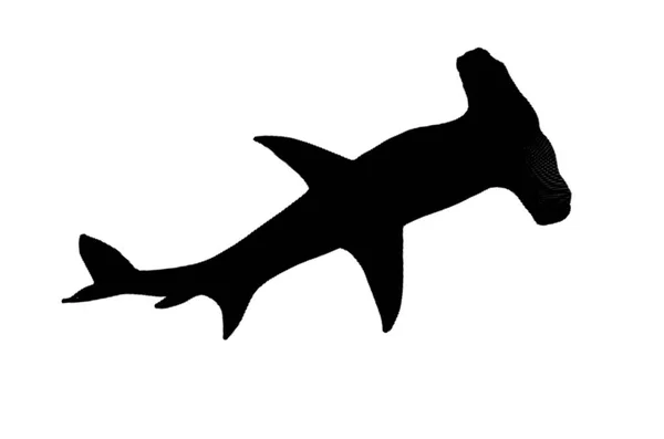 Martillo Tiburón Silueta Negro Ilustración Una Vista Inferior Tiburón Martillo — Foto de Stock
