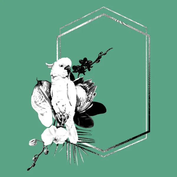 Graphic realistic frame. Tropical frame with corella parrot, orchids and strelitzia. ink art. High quality illustration