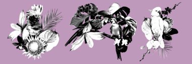 Grafik oyma seti tropikal buketler. Kakadu. Gerçekçi mürekkep çizimi ara kuşlar. Yüksek kaliteli illüstrasyon