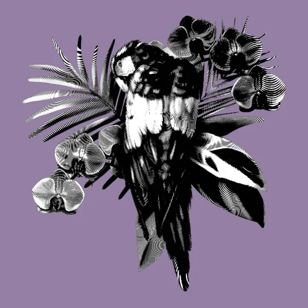 Graphic Tropical bouquet. Macaws, orchids and palm leaves. Realistic illustration. High quality illustration