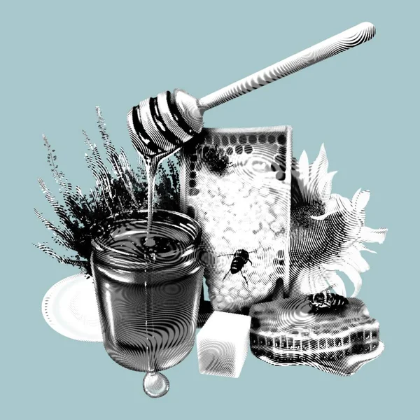 Honungssammansättning Grafisk Gravyr Realistisk Illustration Honung Blommor Honungskammar Och Bin — Stockfoto