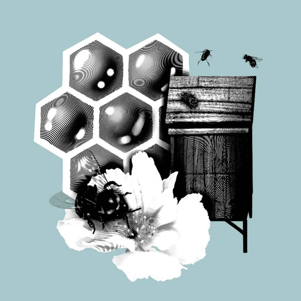 Honing Samenstelling Grafische Gravure Realistische Illustratie Van Honing Bloemen Honingraten — Stockfoto
