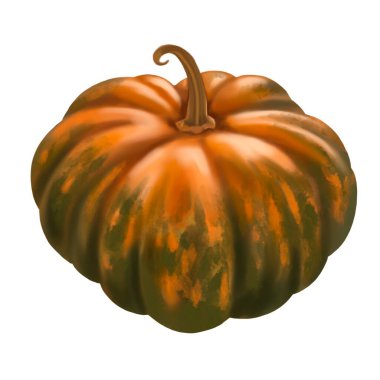 Watercolor realistic pumpkin. orange-green large pumpkin, detailed pumpkin. High quality illustration