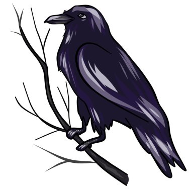 Black Raven. Vector illustration of a crow. Vector illustration EPS10