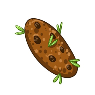 Kenevir bisküvileri. Marihuanalı vektör bisküviler. Yasal hale getir. Vektör illüstrasyonu